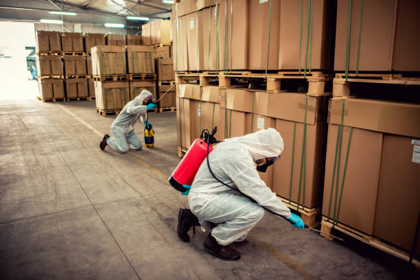 Best Mosquito Control Services  in Sykesville, MD